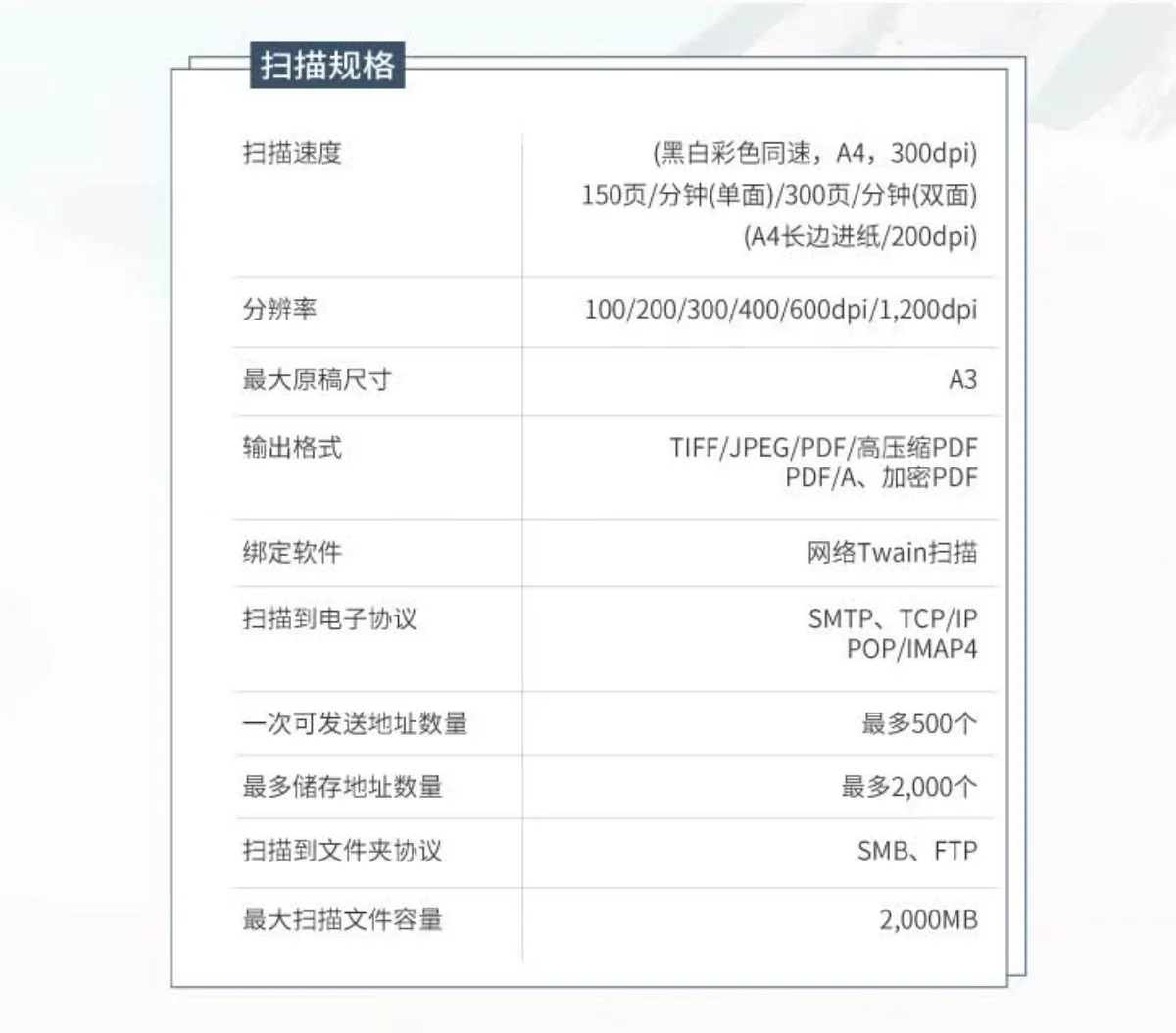 详情11.jpg