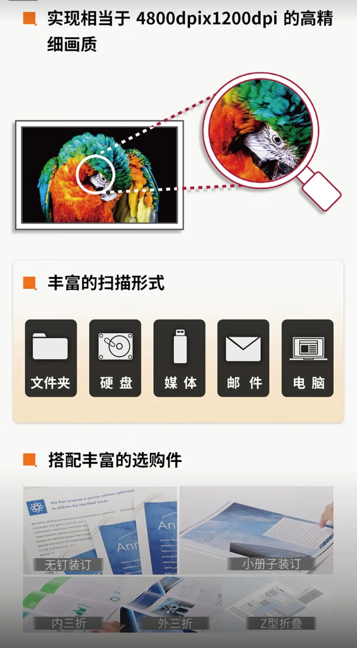 详情8.jpg